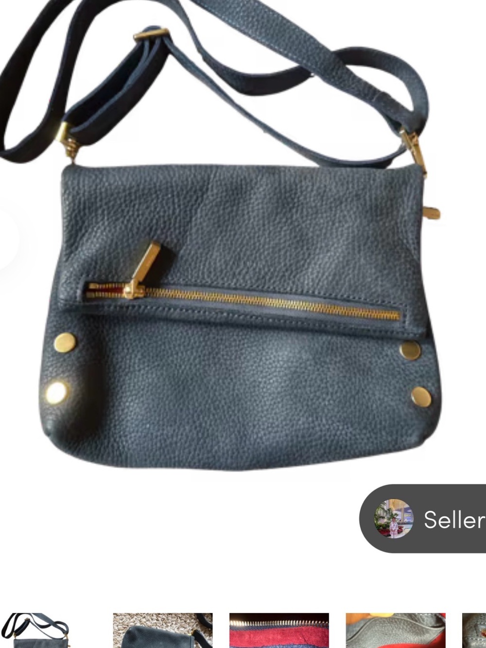 Hammitt Slate Blue Leather Crossbody with Gold Hardware